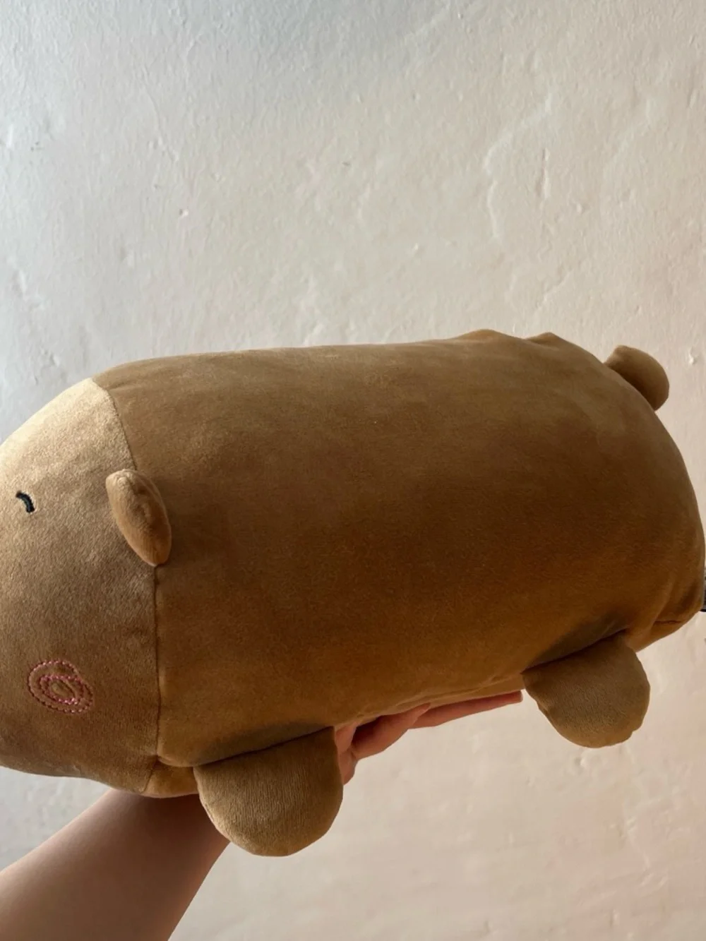 Plush Brown Bear Stuffed Animal